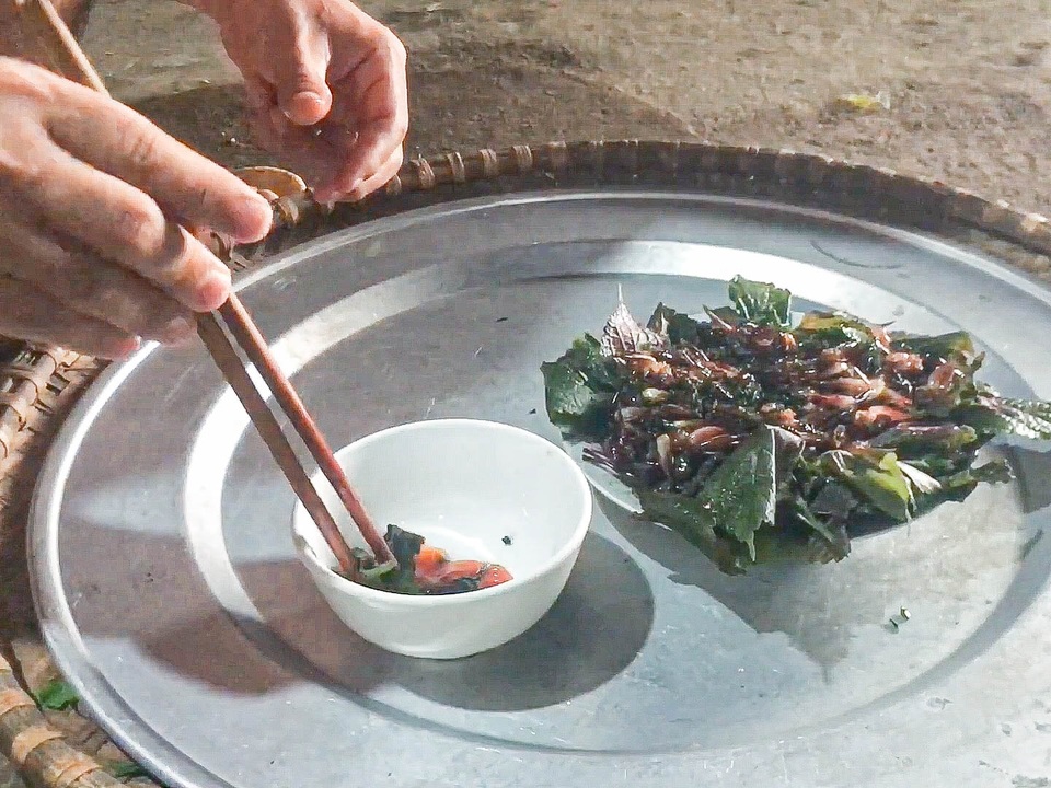 Lạ lùng món tôm bò trên cây của người xứ Lạng - 2 Lạ lùng món tôm bò trên cây của người xứ Lạng - 2