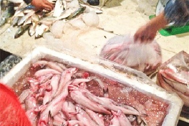 Hải sản trắng nõn, tươi hồng: Ngâm urê không dưới 2 lần