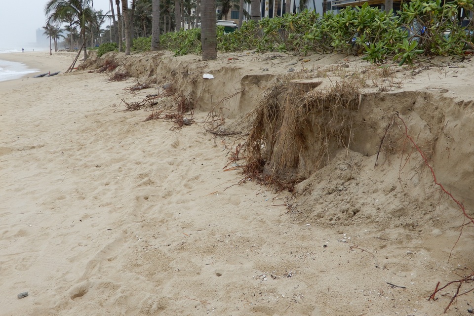 Bờ biển Đà Nẵng sạt lở kinh hoàng, đe dọa nhiều khu nghỉ dưỡng - 2
