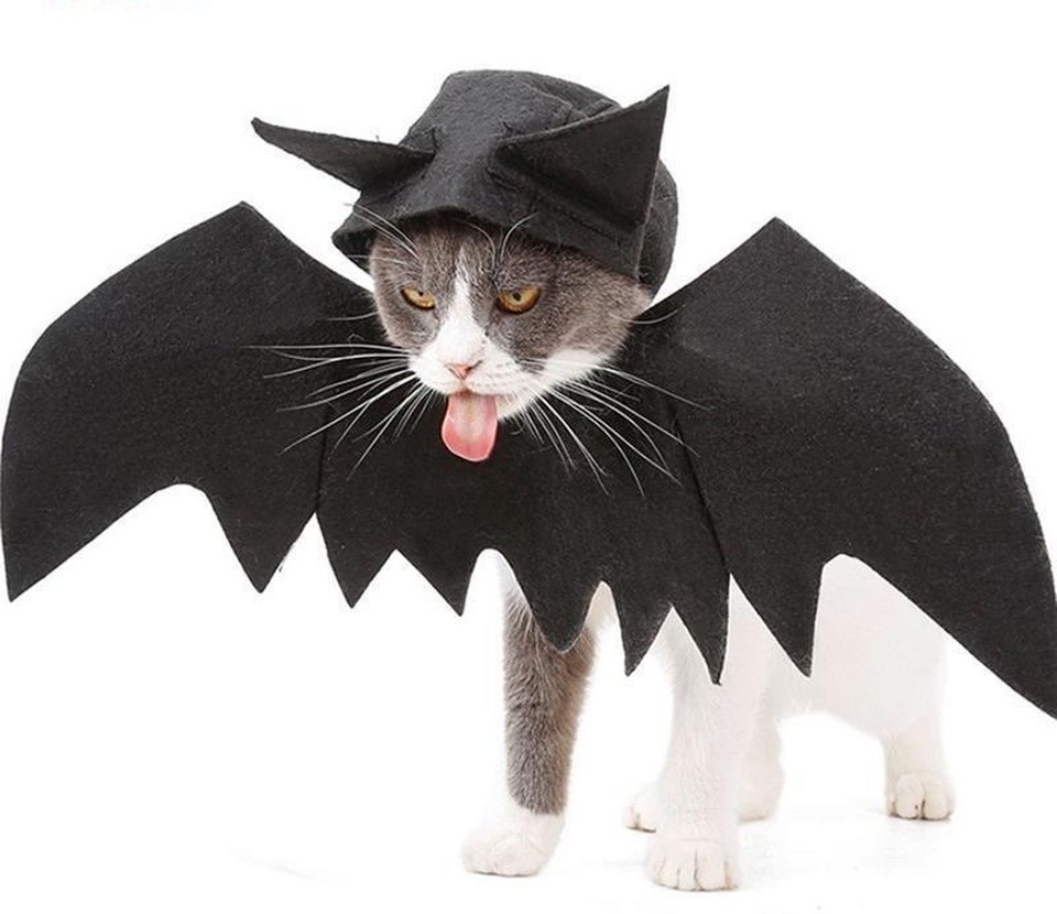 Chủ nhân rút hầu bao, chi đậm sắm đồ Halloween cho thú cưng - 2 Chủ nhân rút hầu bao, chi đậm sắm đồ Halloween cho thú cưng - 2