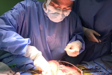 Vàng da, sụt cân vì u đầu tụy