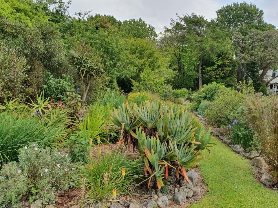 Biến chỗ nuôi gà cũ nát thành thiên đường xanh mát hút các loài chim - 7