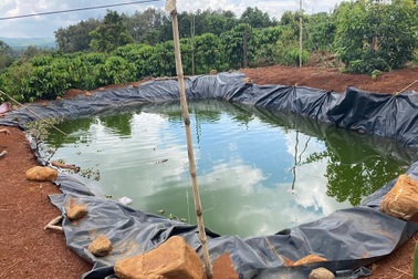 Bà nhảy xuống ao cứu cháu bị ngã, cả hai tử vong