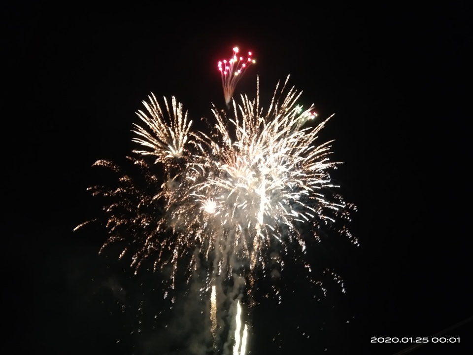 Hân hoan chào đón năm Canh Tý 2020 - 16