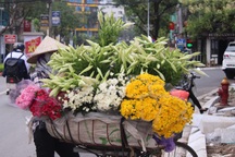 Duyên dáng những hàng hoa rong Hà Nội