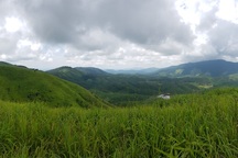 Khởi tố, bắt tạm giam chủ tịch doanh nghiệp "phá rừng"… để trồng rừng