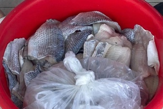 Cá ươn, thịt bốc mùi trong trường học: Đừng để trẻ em phải "nếm" hậu quả