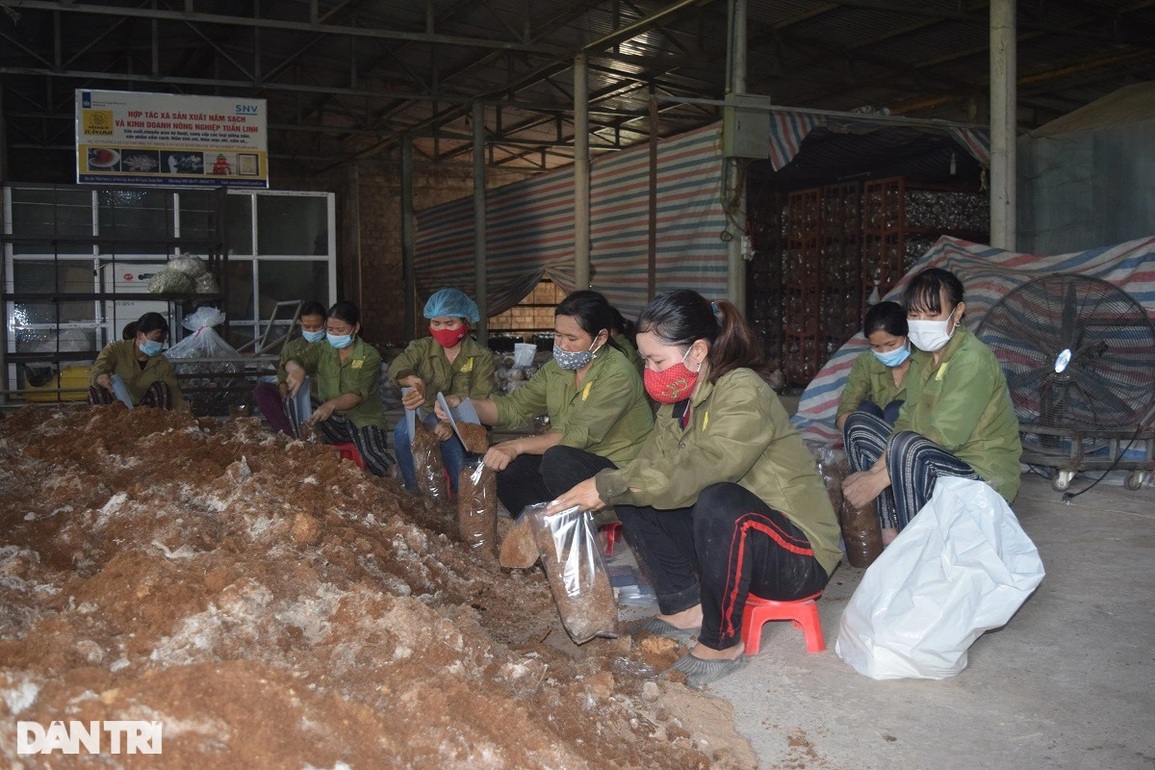 Thích ứng, linh hoạt trong công tác đào tạo nghề giữa đại dịch Covid-19 - 2 Thích ứng, linh hoạt trong công tác đào tạo nghề giữa đại dịch Covid-19 - 2