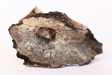 Con người đã hỏa táng người chết từ ít nhất 7.000 năm trước Công nguyên.