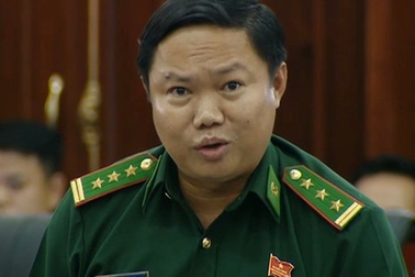 Đại biểu Hội đồng nhân dân Đà Nẵng nói gì về bán đảo Sơn Trà?