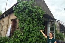 Hà Nội: "Còng lưng" theo kiện 14 năm, gia đình liệt sỹ có đòi được công lý?