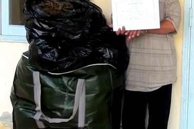 Cả gia đình bị bắt vì chở 24 kg cần sa ở vùng biên giới