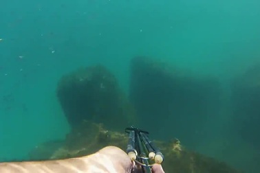 Pha săn cá tệ hại