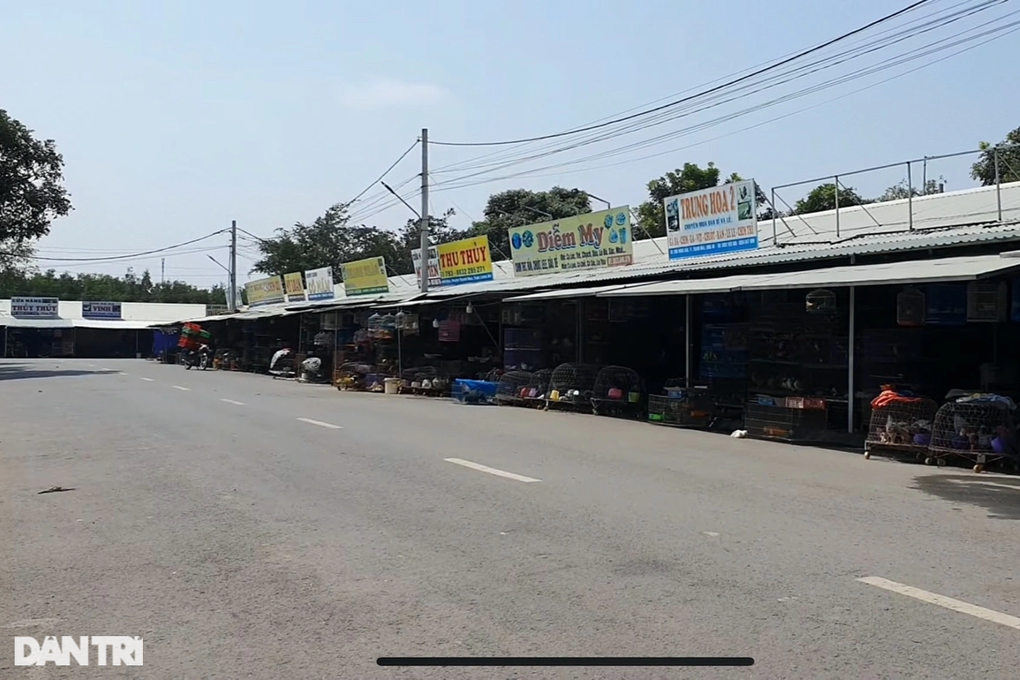 Địa ngục chim trời lớn nhất miền Tây trước khi thành trạm dừng chân - 2 Địa ngục chim trời lớn nhất miền Tây trước khi thành trạm dừng chân - 2