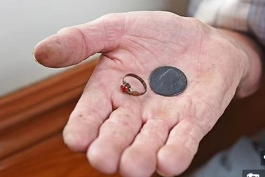 Sửa nhà, người đàn ông tìm thấy giếng cổ chứa nhiều "kho báu"