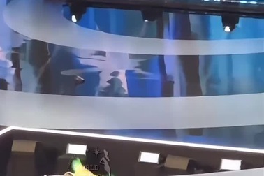 Thí sinh Hoa hậu Mỹ 2024 bị ngã trên sân khấu