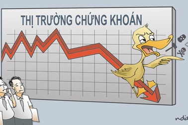 Nhà đầu tư chứ đâu phải đứa trẻ lên ba ngờ nghệch!