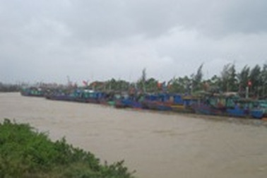 Cứu sống 11 thuyền viên trên hai chiếc tàu bị chìm