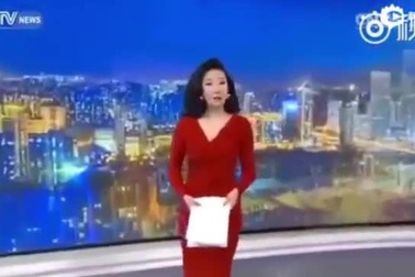 Khoảnh khắc “ái ngại” khi biên tập viên rớt giày trong bản tin trực tiếp