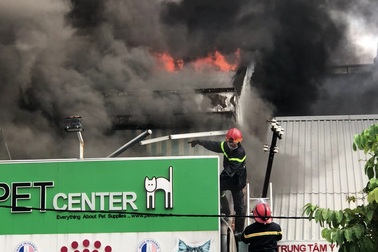 Cháy lớn cửa hàng thức ăn thú cưng ở Sài Gòn