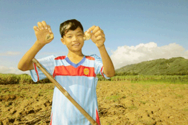 Hái ra tiền nhờ sùng đất