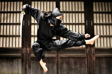 Top những môn võ thực chiến lợi hại nhất thế giới