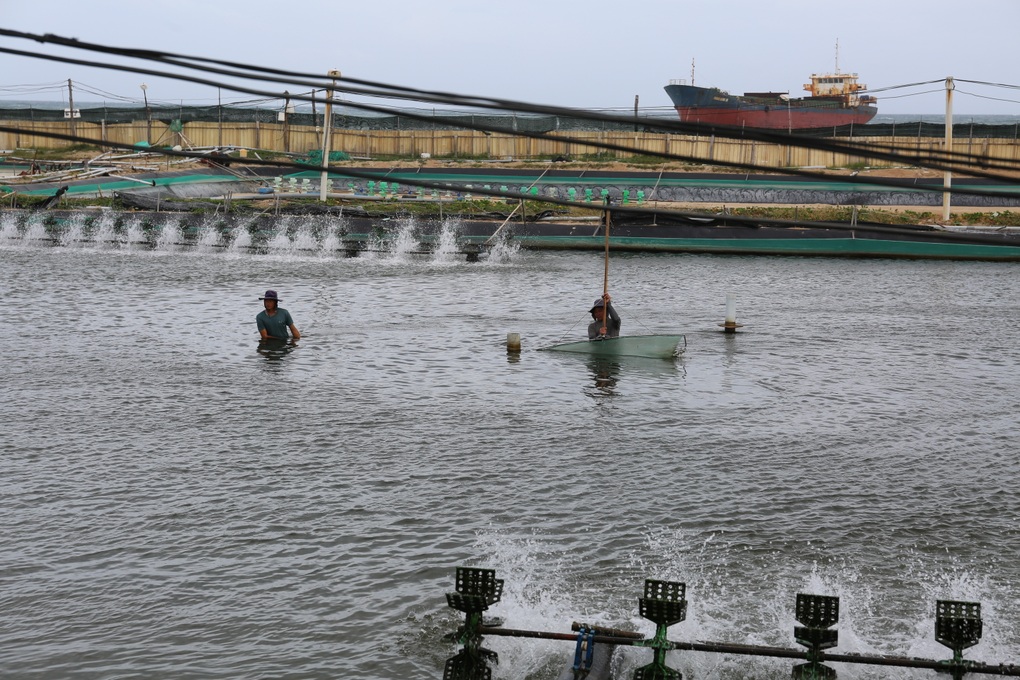 Ninh Thuận quyết tâm giao 100% diện tích làm dự án điện hạt nhân trong năm - 2 Ninh Thuận quyết tâm giao 100% diện tích làm dự án điện hạt nhân trong năm - 2