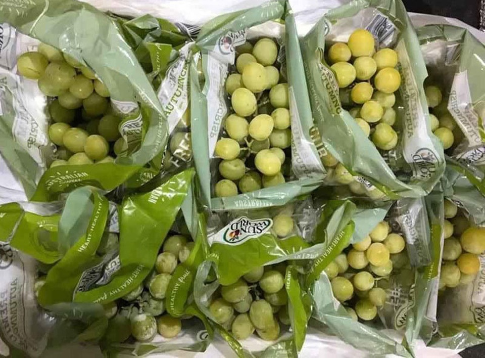 Trái cây Mỹ, Úc siêu rẻ, giá mấy chục ngàn đồng mỗi kg bày bán la liệt - 1 Trái cây Mỹ, Úc siêu rẻ, giá mấy chục ngàn đồng mỗi kg bày bán la liệt - 1