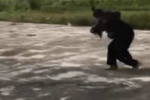 Hai nữ sinh đánh nhau như võ sĩ trong tiếng hò reo của bạn học