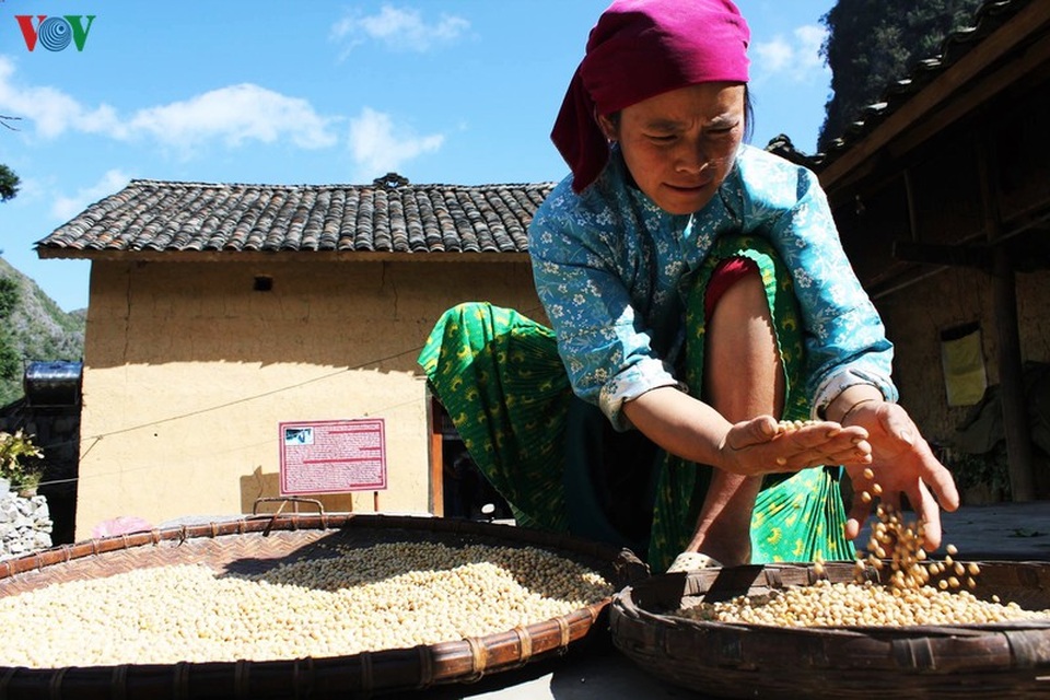 Người dân tộc thân thiện, mến khách nơi cao nguyên đá Hà Giang - 12 Người dân tộc thân thiện, mến khách nơi cao nguyên đá Hà Giang - 12