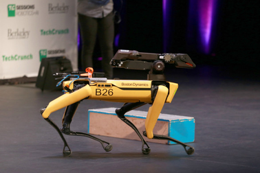 Chó robot đình đám trên Internet gia nhập biệt đội cảnh sát dò mìn của Mỹ