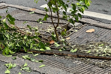 Sụp nắp cống trước sân bay Tân Sơn Nhất