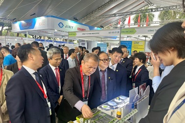 Nhiều người Việt mất răng sớm vì hai bệnh phổ biến