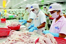 Cơ cấu tiền lương đang... “méo mó”