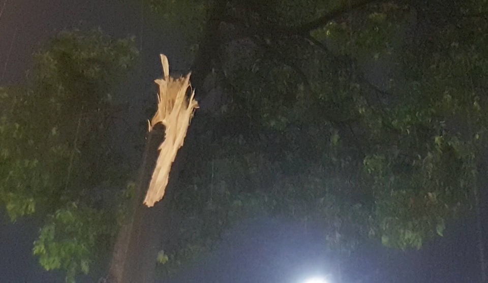Cây đổ quật ngã 2 thanh niên trong cơn mưa - 3 Cây đổ quật ngã 2 thanh niên trong cơn mưa - 3