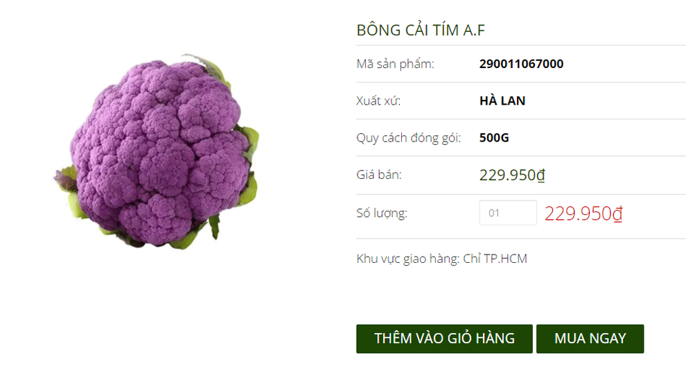 Súp lơ ngoại cầu vồng lạ mắt gần 1 triệu đồng/ kg vẫn hút người mua - 2 Súp lơ ngoại cầu vồng lạ mắt gần 1 triệu đồng/ kg vẫn hút người mua - 2