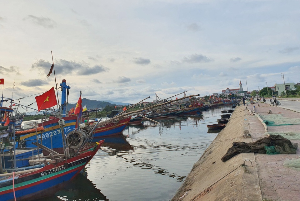 Chạy bão ngư dân vẫn trúng mẻ cá dũa thu hàng chục triệu đồng - 1 Chạy bão ngư dân vẫn trúng mẻ cá dũa thu hàng chục triệu đồng - 1
