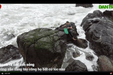 Những người đội sóng, leo vách đá săn thức quà "tiến vua"