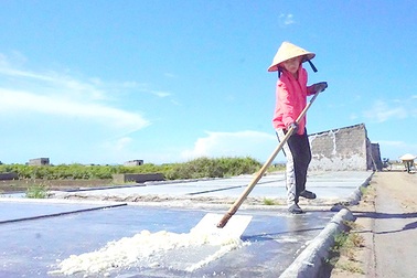 Muối trắng lấp lánh giữa nắng hè mà diêm dân tính ... bỏ nghề