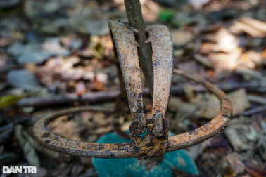 Rùng mình với bẫy "hàm của quỷ" trên bán đảo Sơn Trà!