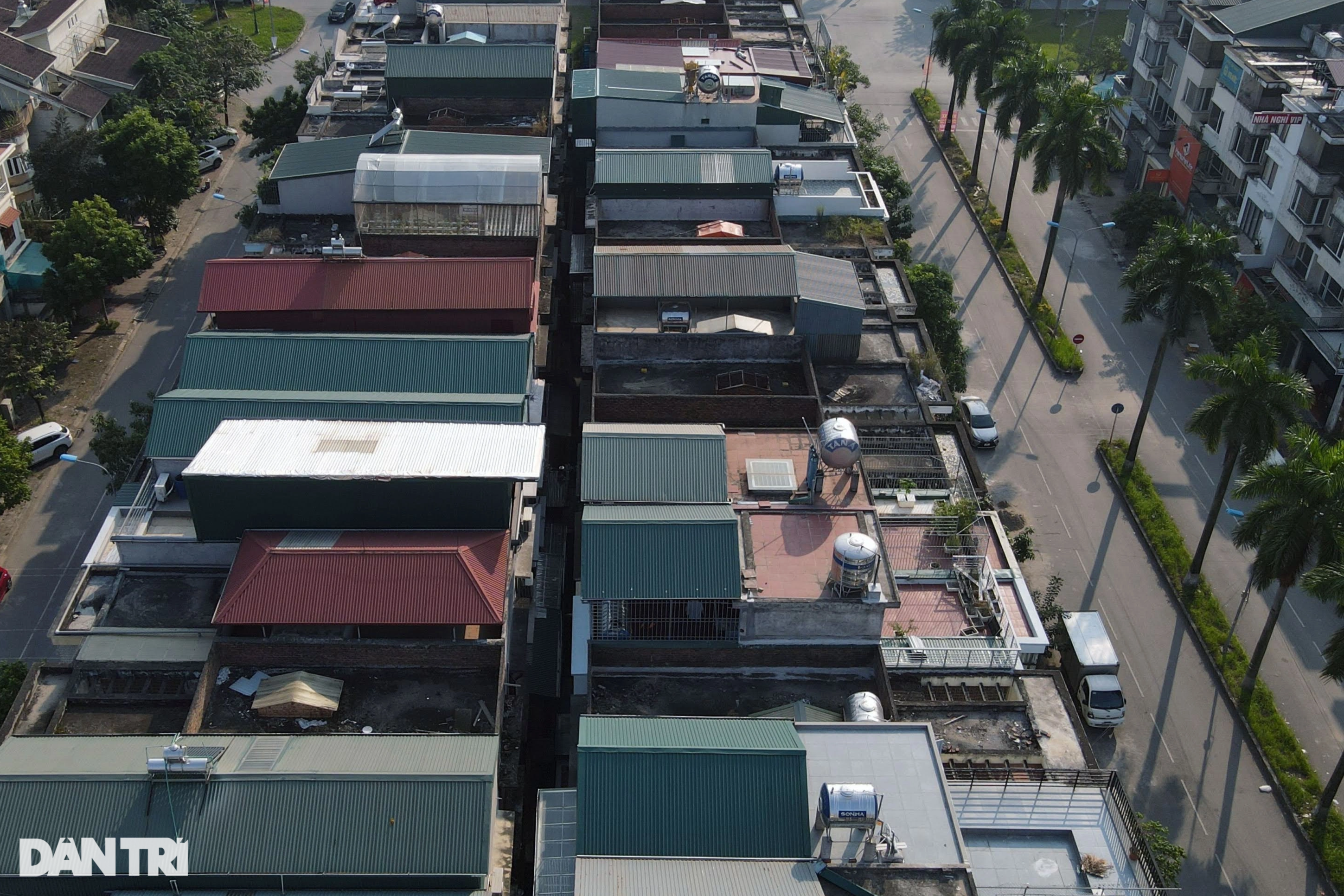 View - Chuối mọc um tùm trong biệt thự bỏ hoang ở một khu đô thị phía Tây Hà Nội | Báo Dân trí