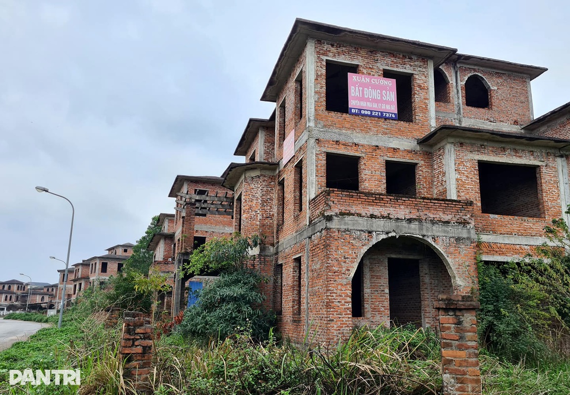 Biệt thự để cỏ mọc um tùm nhưng được hét giá khiến đại gia bỏng tay - 5