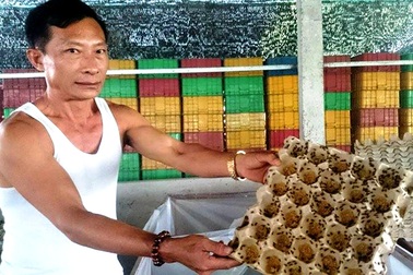 Hành trình thành “tỉ phú dế" của một lão nông