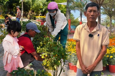 500 chậu quất Tết được "giải cứu" trong đêm và tình người ngày cuối năm