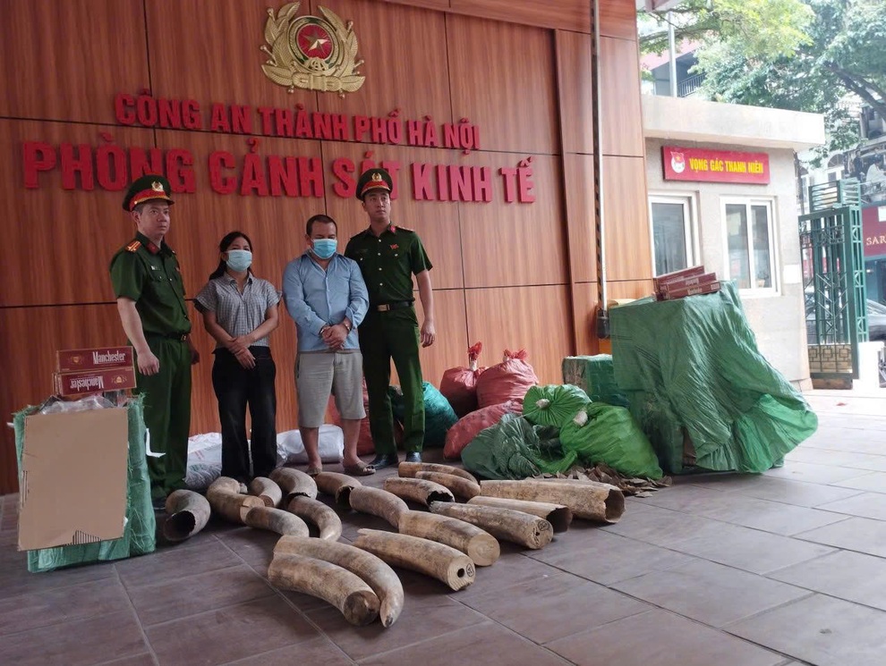 Triệt phá đường dây tàng trữ, vận chuyển, mua bán ngà voi và thuốc lá lậu - 1