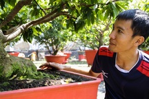 Gian nan nghề cho thuê mai chơi Tết trong dịch Covid-19