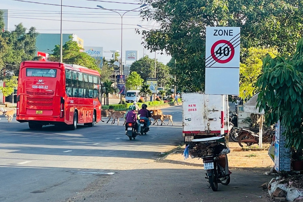 Vụ tài xế hoa mắt vì biển báo giao thông: Rút gọn thông tin - 2 Vụ tài xế hoa mắt vì biển báo giao thông: Rút gọn thông tin - 2