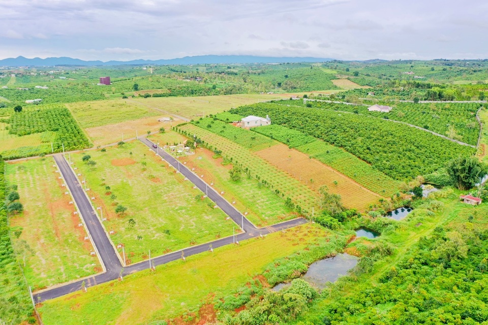 Tiềm năng phát triển homestay trên đồi tại Bảo Lộc - 2