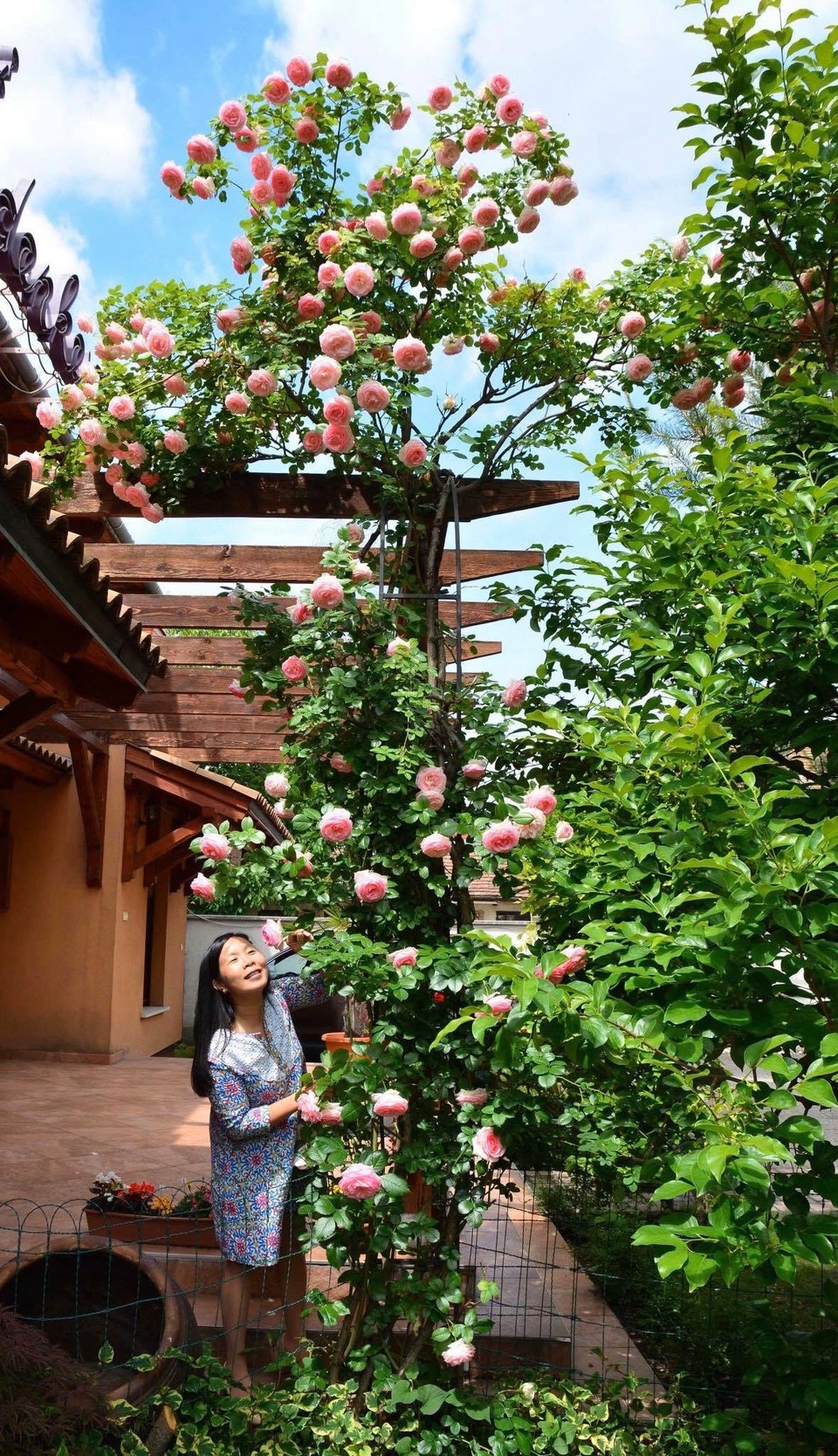 Ngôi nhà phủ kín hoa hồng đẹp không rời mắt của nữ Việt kiều ở Hungary - 2 Ngôi nhà phủ kín hoa hồng đẹp không rời mắt của nữ Việt kiều ở Hungary - 2