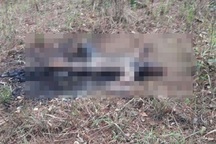 Người đàn ông chết cháy, nghi tự thiêu sau vườn nhà